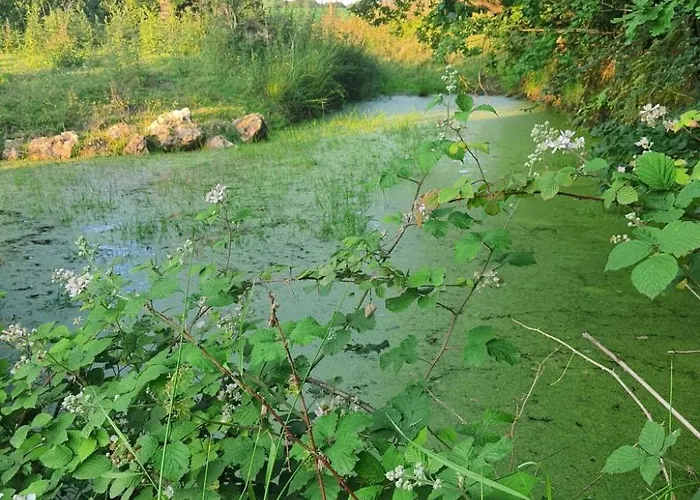 Holiday home Le Pressoir De Mon Pere Vor Den Toren Von Honfleur By Interhome Foulbec